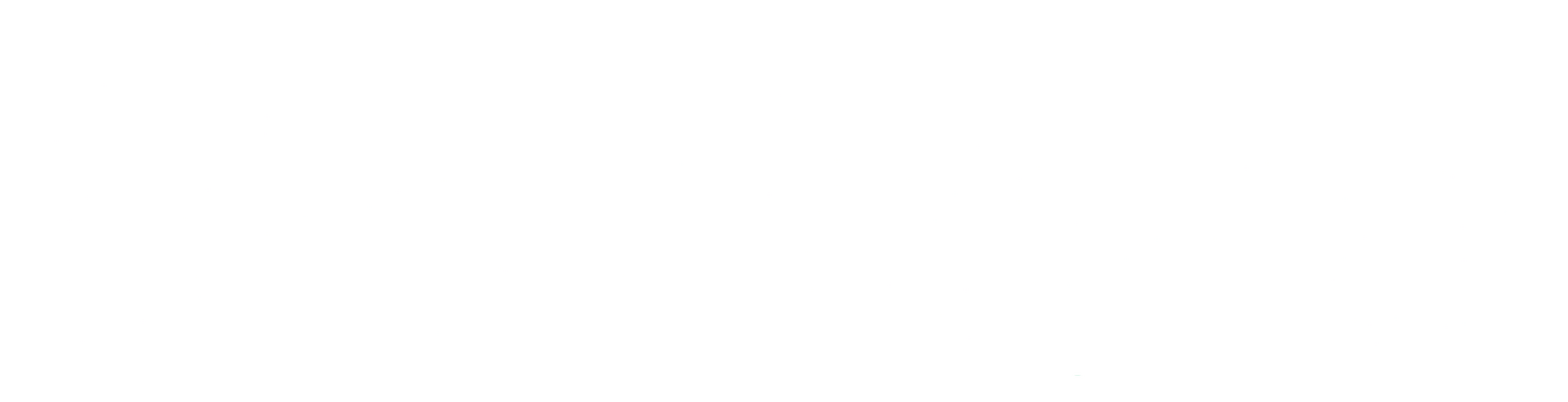 Logo Dortoka Logo Dortoka